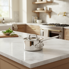 Mauviel M'Pure Sauce Pan With Lid, Cast Stainless Steel Handle, 0.5-Qt - Mauviel1830