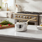 Mauviel M'ELITE B hammered 5-ply sauce pan with curved lid and brass handle, showcasing a polished stainless steel exterior